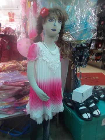 DSCN4290