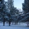 DSC05199 DSC05199