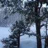 DSC05200 DSC05200