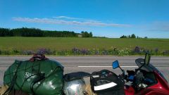 P_20170621_071049.jpg P_20170621_071049.jpg