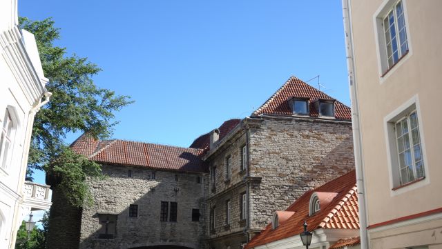 DSC03136.JPG