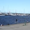 DSC03200.JPG