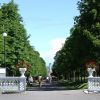 DSC03207.JPG