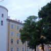 DSC03360.JPG