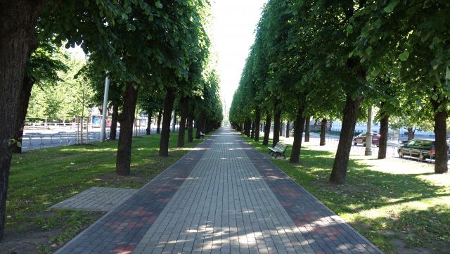 DSC03390