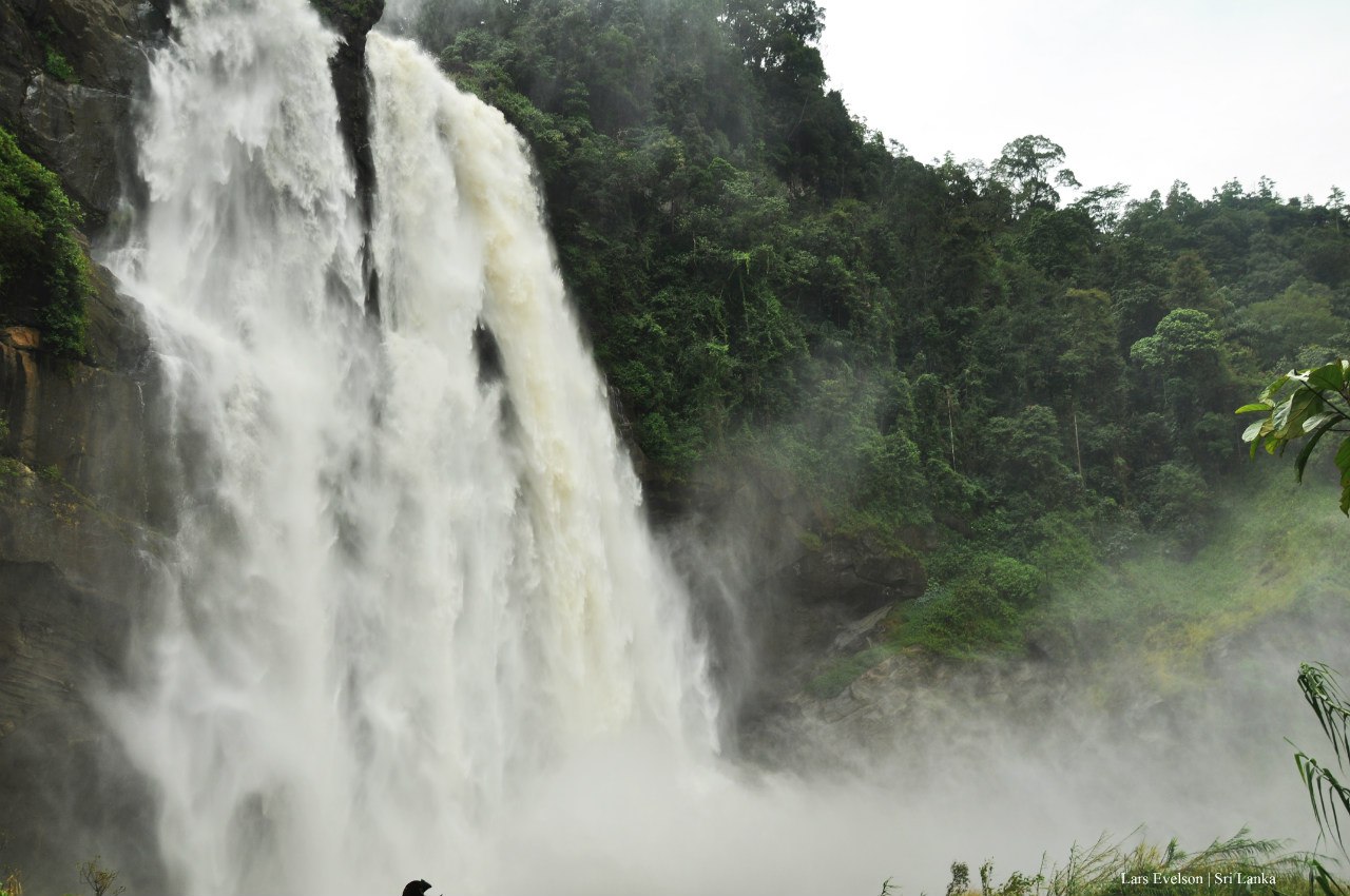 Aberdeen Waterfall Sri Lanka. Джунгли шри ланки