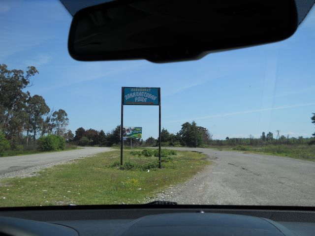 DSCN6186