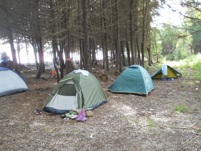 DSCN6223