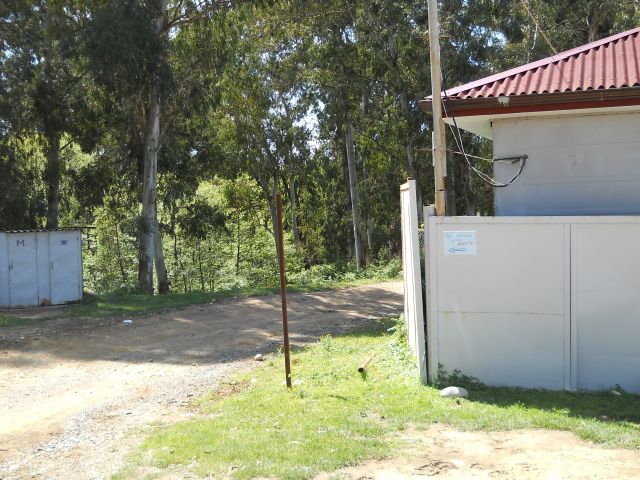 DSCN6189