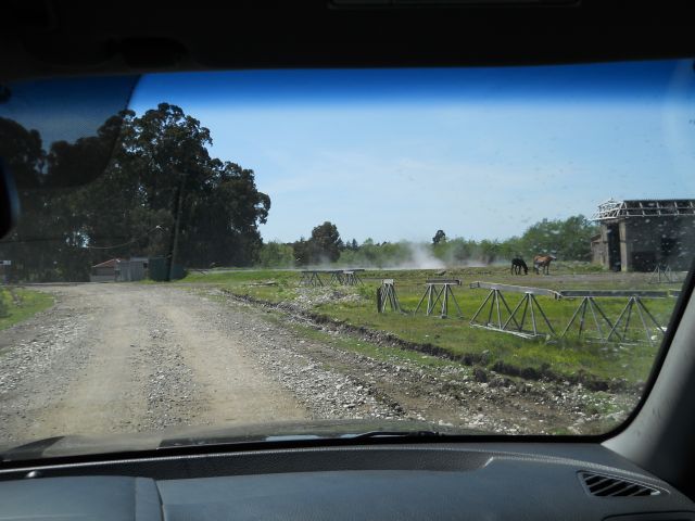 DSCN6188