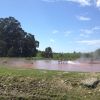 серо-водородный источник в Кинги