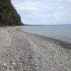 IMG_3120.jpg