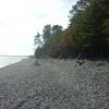 P1100950.JPG