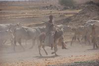 31-Sudan_Cowboy.jpg