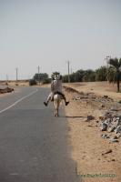 17-Sudan_Rider.jpg