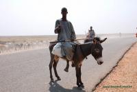 32-Sudan_Another_ cowboy.jpg