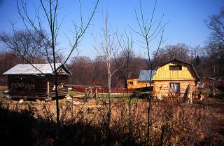002f3hq3.jpg