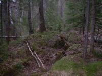 DSCN1223 640x480.JPG