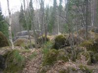 DSCN1218 640x480.JPG
