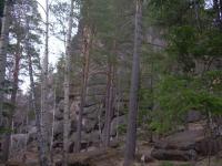 DSCN1230 640x480.JPG