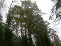 DSCN1207 640x480.JPG
