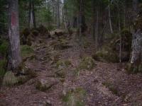 DSCN1221 640x480.JPG