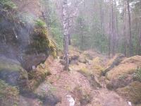 DSCN1260 640x480.JPG