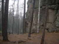 DSCN1281 640x480.JPG