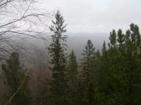 DSCN1250 640x480.JPG