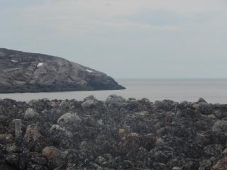 DSCN7621.JPG.ba43f3d7164d656d0202934246d08ee8.jpeg
