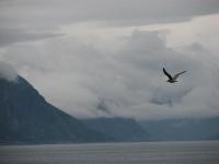 IMG_1068.JPG