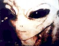 gray_alien_close1.jpg