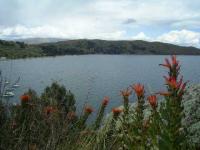 BOL_Titicaca_03.JPG