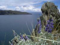 BOL_Titicaca_04.JPG