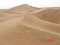 dune12.jpg